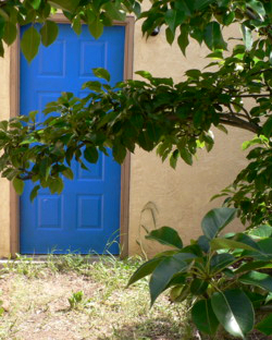 Back door to my garage, with pear tree branch in the foreground