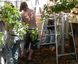 it took awhile to get the ladders in place