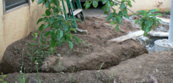 trenching from the pole to the house